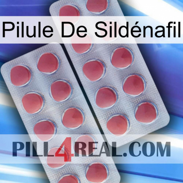 Pilule De Sildénafil 19